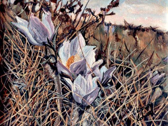 Artwork: Crocus