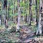 View Artwork: Daylight Walk