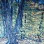 View Artwork: Fall in the Gatineaus