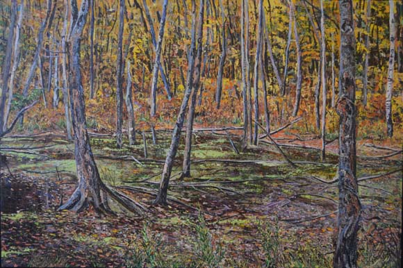 Artwork: Gatineau Swamp