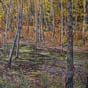 View Artwork: Gatineau Swamp