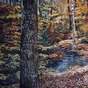 View Artwork: Nature’s Triumph
