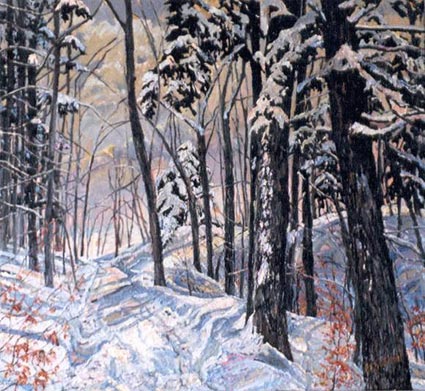 Artwork: Winter Shadows