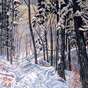 View Artwork: Winter Shadows