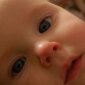 Nose?