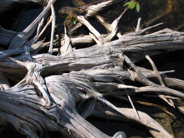 Stumps?
