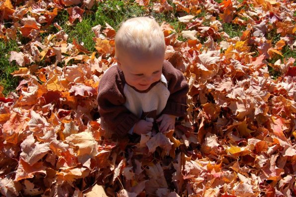I gots leaves!