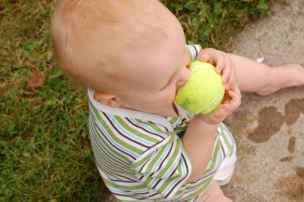 Dog/baby