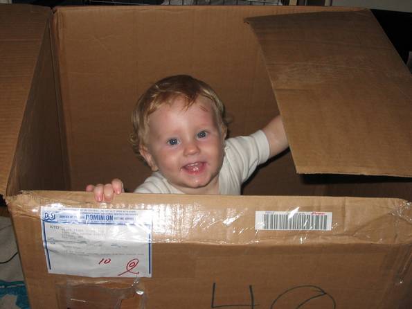 Box Forts Rule!