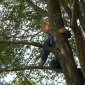 Out on a limb