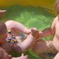Waterbabies